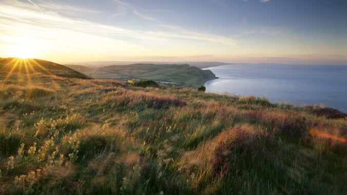 The Dorset coastline shot from the summit of Golden Cap, with sea to the right and cliffs to the right. The sun is rising above a grassy mound and heather grows on the clifftop